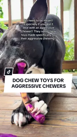 😩Everyone is quick to judge but if you don't have an aggressive chewer then you have no room to talk about what chew toys work! . My aggressive chewer NEEDS toys to be happy & these chew toys are the only kind that stand up to her aggressive chewing!! . If you struggle trying to accommodate an aggressive chewer then check out these chew toys! You will be pleasantly surprised! . linked with sale & free shipping  . #dogtoy #dogtoys #dogchewtoy #aggressivechewer #dealsforyoudays  #creatorsearchinsights 