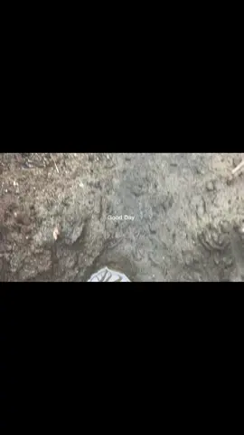 Ang fortante wala tayong sama ng loob sa bayat isa 🥹🥹🥹