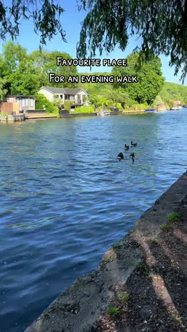 Favourite place for an walk