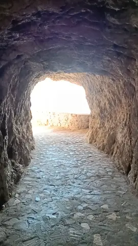 #toulmond