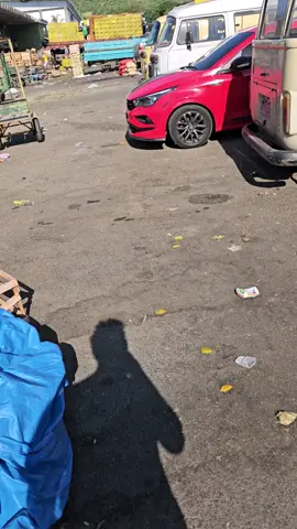 Vamos às compras 03