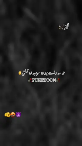 تہ سہ داے چہ دہ ____!🫵😇😜#standwithpukhtoon #standwithkashmir #foryou #foryoupage #official #video #official #paistan🇵🇰 