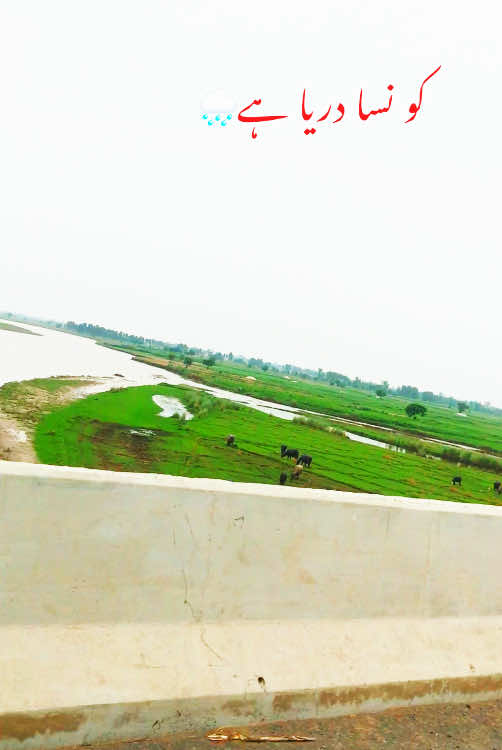 Konsa darya hai |🤔🤔🤔|#viraltiktokvideo #foryou #trending #foryoupagevideo #daryaravi #ravi #fyp #beauty #okara #trend #okaraplace #ravi #water #road  