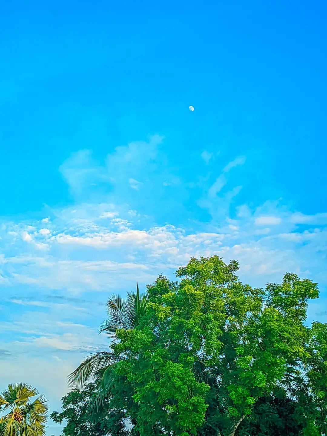 #প্রাকৃতিক_সুন্দর্য #প্রাকৃতিক #হাসির_দুনিয়া#হরেকৃষ্ণ💖🙏#growmyaccount #foryoupage #longervideos 