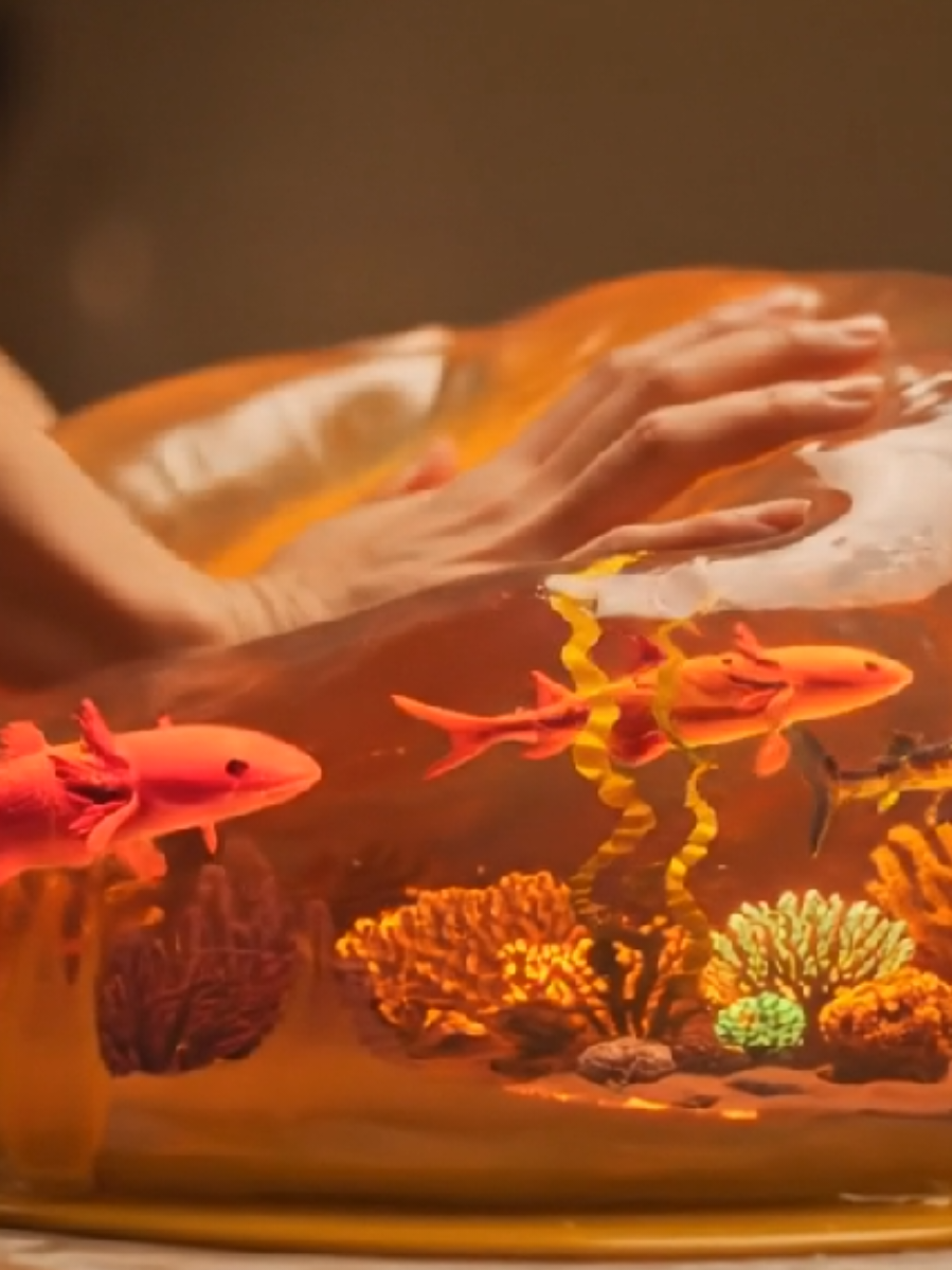 Respondendo a @maraaml30 They are fine, I promise!  #asmrsounds #asmr #fish #cook #fine #sea #lava 