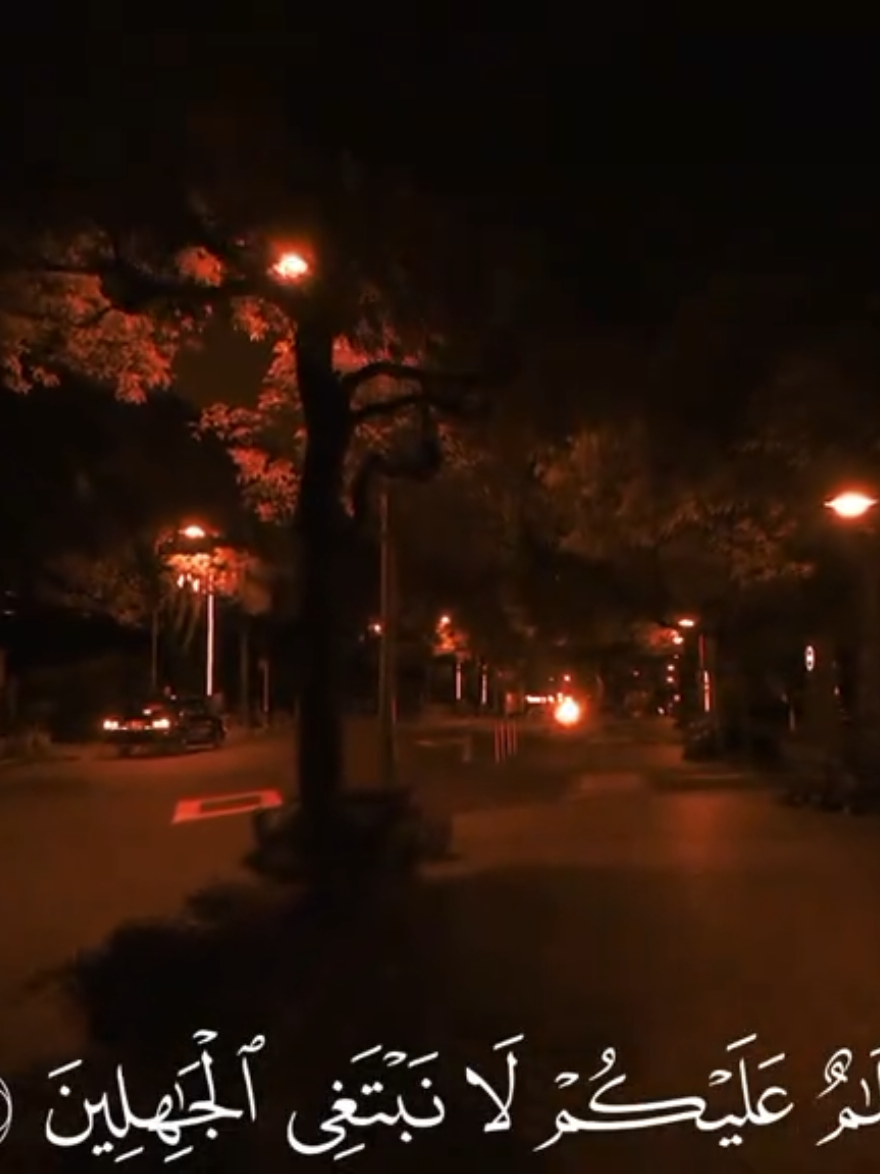 ﴿سَلَٰمٌ عَلَيۡكُمۡ لَا نَبۡتَغِي ٱلۡجَٰهِلِينَ﴾🤍 #ياسر_الدوسري #قرآن #قران_كريم #quran #quran_alkarim 