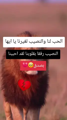 #fyp #اقتباسات #اقتباسات_عبارات_خواطر🖤🦋❤️ #عبارات_جميلة_وقويه😉🖤 #عبارات_حزينه💔 #زيادة_المشاهدة #تصميمي #اكسبلورexplore 