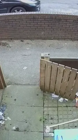 The bin throw was personal #promomakanliburan #foryou #fyp #funny #tiktok #british #friends 