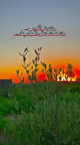 يذكرنا ﮼الغروب…  بأن كل شئ في الحياه ﮼عابر…#مالي_خلق_احط_هاشتاقات🧢 