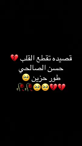 #الرادود_حسن_الصالحي #دنيت_خطوة_ورجعت_خوفي_لزمني_من_ايدي #😔😔🥀🥀💔💔💔💔💔💔 #اكسبلور #العراق #fypシ #tiktok #explore 