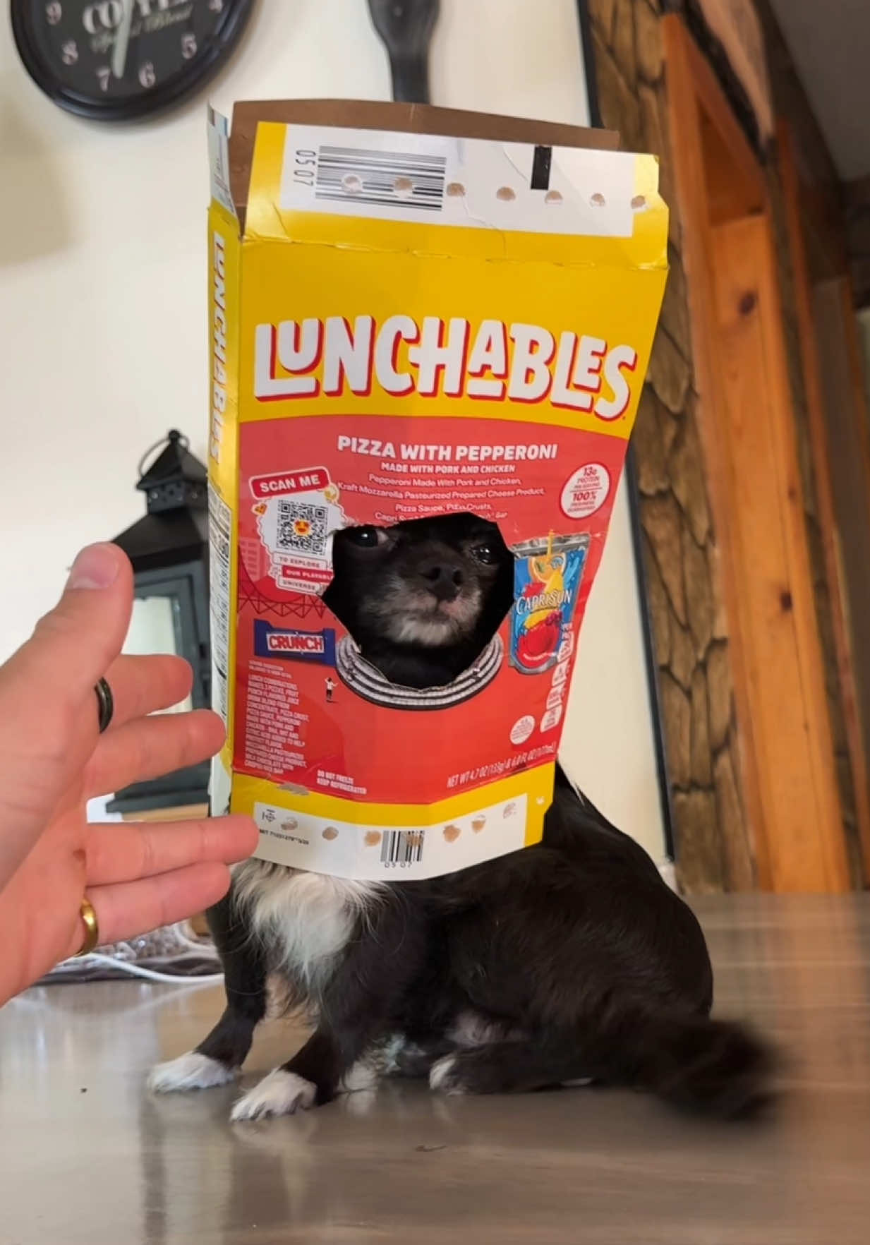 LUNCHABLE FLYING PUDDIN 😱❤️