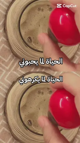 مش فرقة معاي .. 😇🫱🏻‍🫲🏼🌷 #فيروزيات  #explore #foryou #viral #fyp #fyyyyyyyyyyyyyyyy #هشتاق #الشعب_الصيني_ماله_حل😂😂 #viralvideo #هشتاق #اكسبلور 