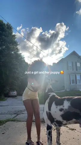 My sweet Marshall 🥰💖 #greatdane 