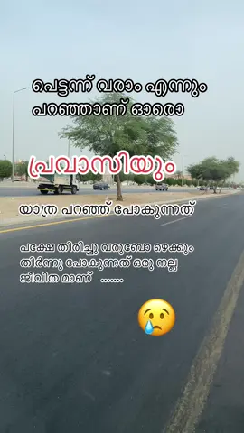 #frends #snehasparsam #pravasi #global #tiktokviral 