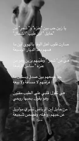 #المملكة_العربية_السعودية #fyp #شمر_عنزه #عنزه_شمر #501_555 