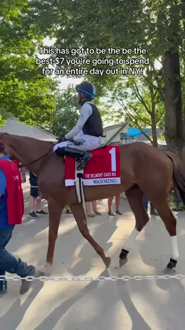 🐎 Make your Summer plans now! The 40 day meet at Saratoga Race Course starts July 10 and goes through September 1. General Admission tickets start at just $7 and you can BYOB, cooler, picnic baskets, & lawn chairs. Or upgrade to the Turf Terrace for cool, covered, open-air reserved seating with unmatched views of the race. All tickets provide trackside access! So pack your fancy dress and hat 👒 and drive or take Amtrak to Saratoga Springs. Lmk if you plan to go! #americasbestracingpartner Don’t know where to start? Check out the beginner’s guide by @America'sBestRacing! #nyc #ny #saratoga #saratogaracecourse #horseraces #newyork #saratoga #americasbestracing #thingstodoinny #fancy #horses #racehorse #equestrian 