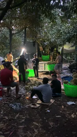 #sầuriêng 