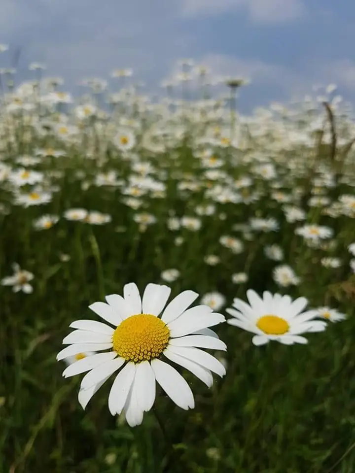 #yy6yyyyyyyyyyyyyyyyyyyyyyyyyyyyyyyy 