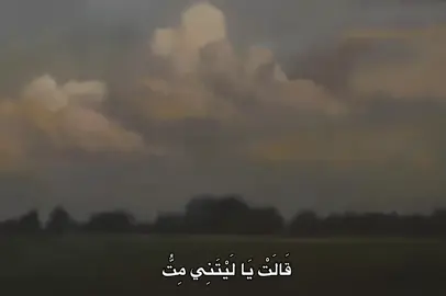 #محمد_صديق_المنشاوي #المنشاوي #quran #fyp #🎧 
