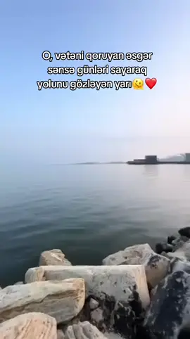 sağ-salamat gəl ürəyim ❤️#esgerim #kesfet #kesfet #fypシ #28 #sa_____.28 #A 