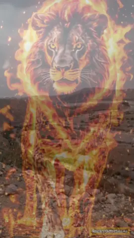 WILDLIFE: ANIMAL CHARACTER  SHOWCASE YOUR BEST WAY THAT YOU UNDERSTAND THIS ANIMALS  FIRE IMAGE... #DailyRoutine #animals  #innerspirit 