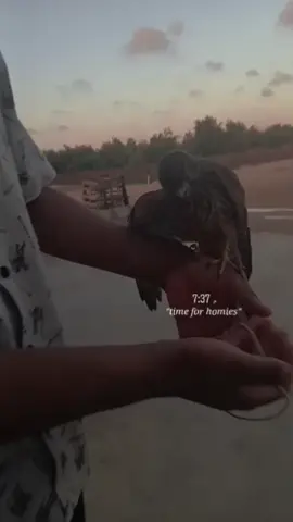 #المرج_بنغازي_البيضاء_طرابلس_ليبيا  #صقور #درنه_طبرق_مصر_ليبيا_بنغازي_طرابلس_جزائر #متابعه_ولايك_واكسبلور_ #اكويفيه @{ابراهيم||🥷} @,ِامير ,ِالجازوي @«Asloumah Al-Jazwi 🔥999» 