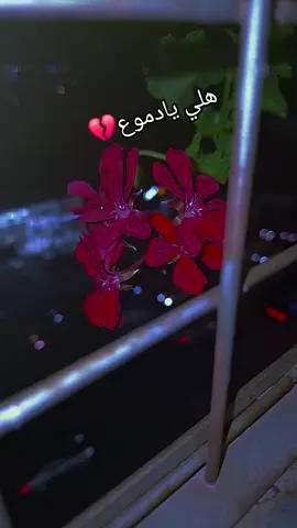 #جونية_لبنان🇱🇧 #ولعوهااا🔥🔥♥️ #aksblore_folow_kment🌹❤️ #هاشتاقات_تيك_توك_العرب 