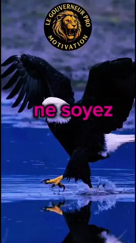 Utilise les critiques comme carburant et bats-toi  #motivation #inspiration #mindset #success #nevergiveup #developpementpersonnel #citation #guerrier #fyp #pourtoi 
