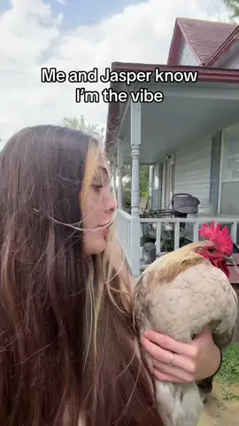 I mean idc, I know imma vibe #fyp #foryourpage #relatable #viral #fypシ #chicken #rooster 