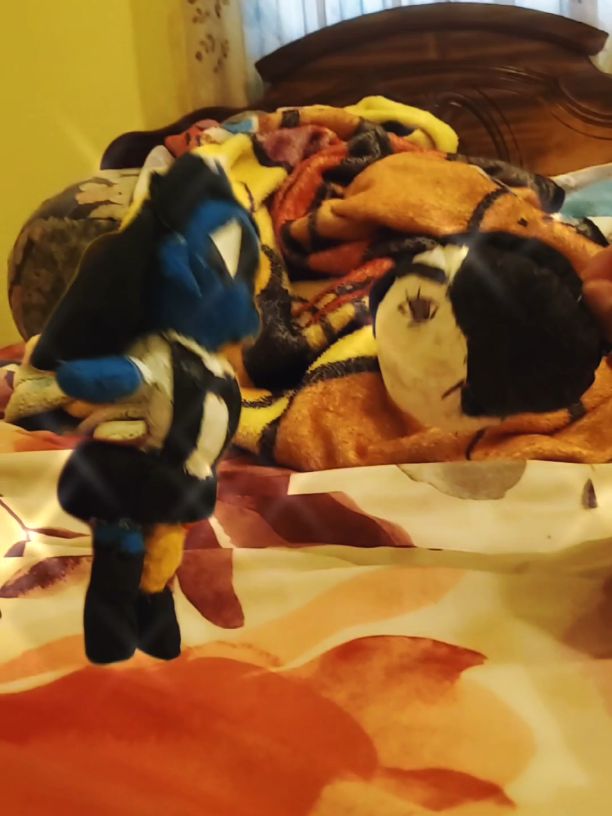 Random #JoelG #Ena #ena #Moony #enadreambbq #sega #sonicthehedgehog #shadowthehedgehog #plushies #random #customplush #plush 