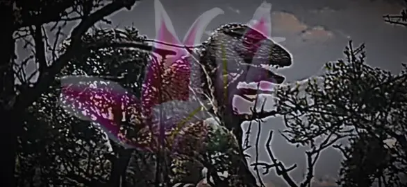 gorosaurus :/ #gorosaurus #gorosaurusedit #angst #sad #godzilla #godzillaedit #kaiju #godzillakaiju #edits #editing #showaera #fyp #fypage #trending #hopecore