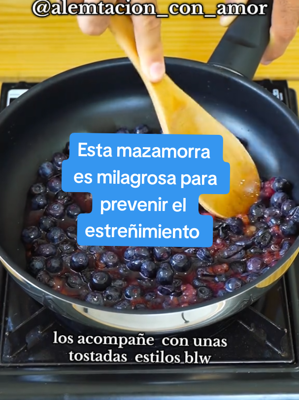 ✨Mazamorra de arándano y chía 🍇💜 — sin azúcar añadida Ideal para bebés desde los 8 meses 👶🏼🫐 Rica en antioxidantes, fácil de digerir y ¡lista en minutos! Perfecta para los desayunos o meriendas BLW 💪🥄 👉 Guarda esta receta y descárgate más desde el link de mi perfil 💻📥 #MamásBLW #AlimentaciónInfantil #alimentacioncomplementaria #BLWPerú #DesdeLos6Meses #TrigoParaBebés #RecetasBLW #BebéSaludable #BLW 
