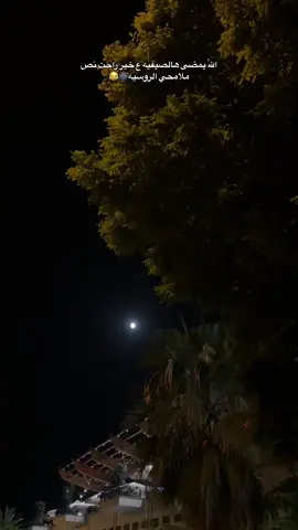 #مالي_خلق_احط_هاشتاقات @⚜️ 𝑨 𝑮 𝑨 不 𝟗𝟏𝟏 ⚜️ 