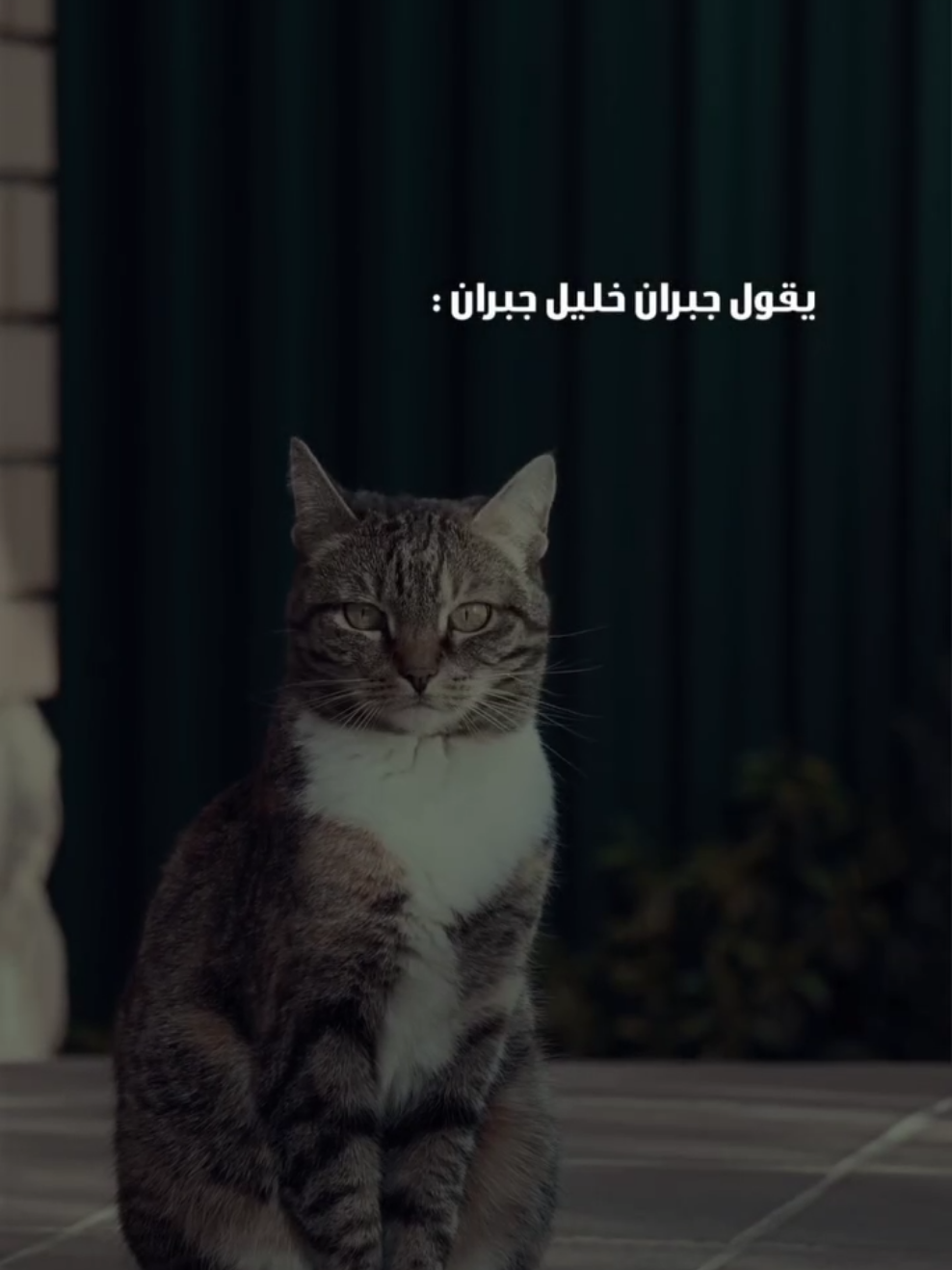 فولو و لايك و اترك تعليقا ان اعجبك المحتوى . . . #مقولات #اقتباسات #دوستويفسكي #اكتئاب #حزن #fyp #ضياع 