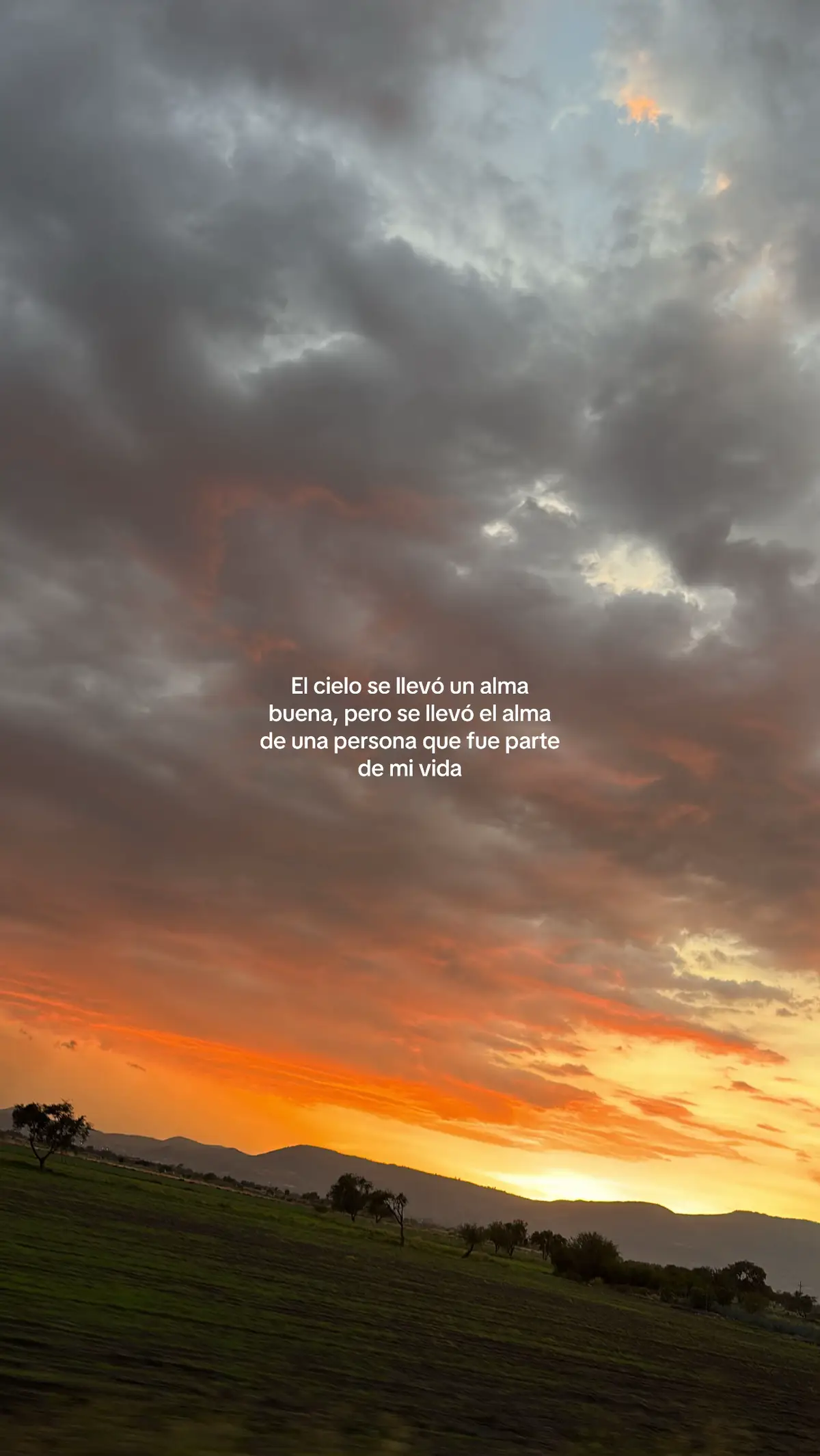 S’M 🤍🕊️ #cielo #miesposito 