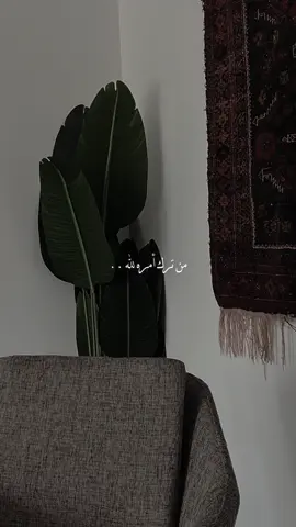من ترك أمره لله 🤍✨  . . . #من_ترك_امره_لله #اللهم_امين #اللهم_امين_يارب_العالمين #اكتب_شي_توجر_عليه #ادعيه_دينيه #fyp #foryou #foryoupage #اكسبلورexplore 