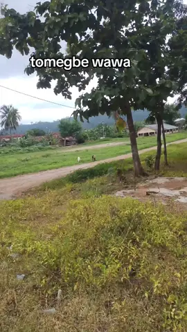 #tomegbe wawa #akposso♥️ #prefecture_de_wawa Togo 🇹🇬 #Badou #jaime_mon_pays Togo 🇹🇬🇹🇬
