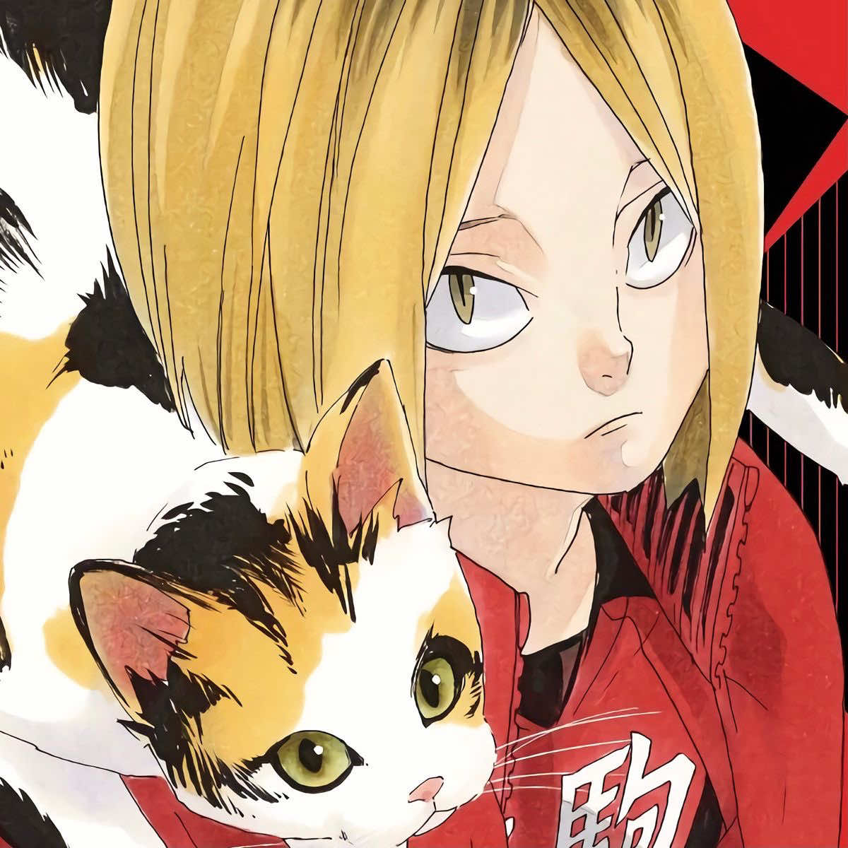 — #KOZUMEKENMA // garnly // #kozume #kenma #fyp #forypupage #paratii #flop @tiktokglobal 
