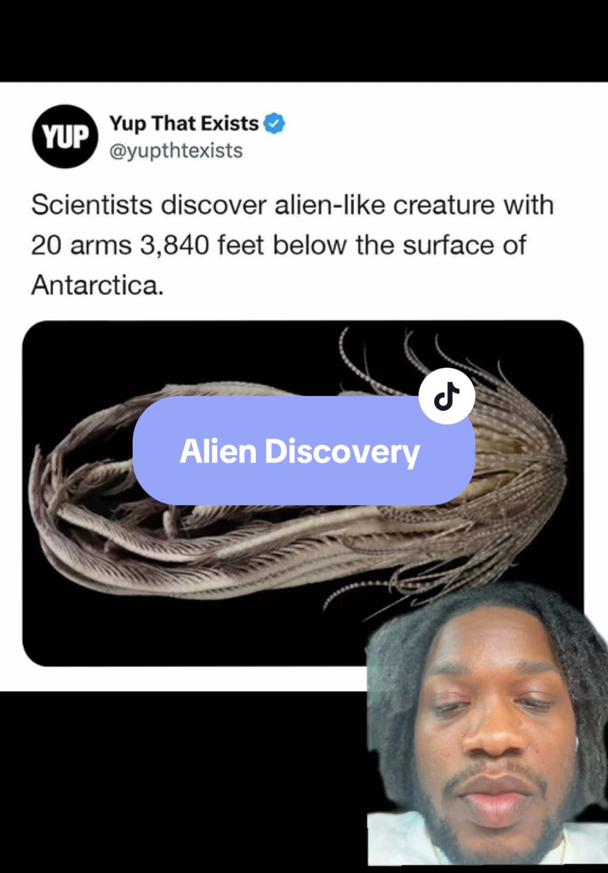 #greenscreen alien like discovery in Antarctica. #fypシ゚viral #alien #mrsaywhatiwant #discover #research #finding #aliens #conspiracy 
