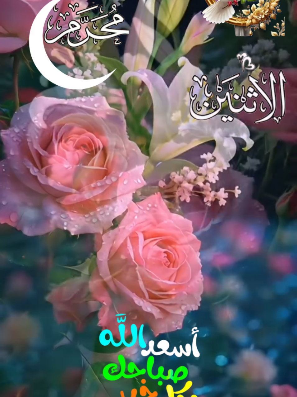 اللهم في صباح يوم الاثنين  دعاء صباح يوم الاثنين  دعاء الصباح بصوت جميل  صباح الخير  #صباح_الخير #صبحكم_الله_بالخير_والعافيه🌸🌿 #صباحكم_سعادهـ🌸🍃 #صباحكم_معطر_بذكر_الله💚🌹🌿🌷😍🌸🙏 #دعاء_يوم_الاثنين 