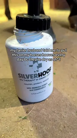 I can’t argue bc he shoes them all for free 😬 #DrawItOut #SilverHoofEQ #HoofCare #FarrierApproved #HorseTrainer #HorseGirlTok #WesternLifestyle #BarnLife #HorseCareTips #TikTokShopFinds #TackRoomEssentials #HorseTok #EquestrianHack #MustHaveHorseProducts