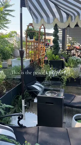 This is my absolute favorite place to be  #fyp #foryoupage #gardentok #backyardgarden #backyardvibes #backyardliving #gardening #gardenproject #gardeningtips #gardeningtiktok #patio #patioseason 