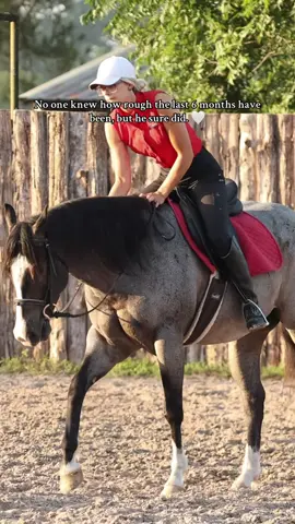 Special horses just know! It’s been obstacle after obstacle the last 6 months, but it’s only up from here! 🩵🦄