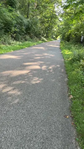 Evening jog #joggers #5k #Running #excercise 