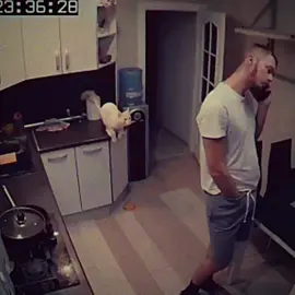#CapCut 
