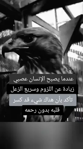 #الحمدلله_دائماً_وابداً_على_كل_حال 