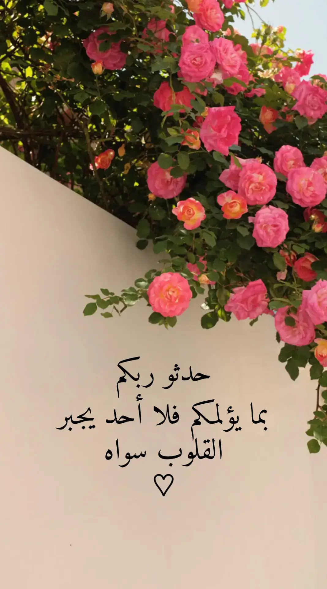 #اكسبلورexplore 