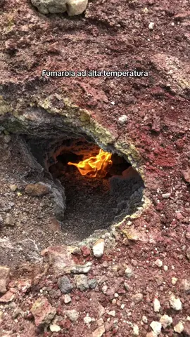 Sull’Etna non basta camminare… bisogna conoscere ogni dettaglio. Questa non è una semplice buca nel terreno: è una fumarola ad altissima temperatura. 🌋 Oltre 700°C sotto i nostri piedi… e la carta prende fuoco in un istante. Ecco perché sul vulcano serve esperienza. Sempre. . . Info ℹ️ @Guide Vulcanologiche Etna Nord  👉 Scopri di più: https://guidevulcanologicheetna.it 📞 +39 345 5741330 . #etn#etnal#vulcanom#fumarolal#vulcanoetnai#guidevulcanologichec#siciliar#curiositài#scienzav#lavao#geologial#caloreestremot#naturefactsu#educativotiktoko#fuoco #🔥l#volcanon#etnatoka#italianvolcanop#fypryou