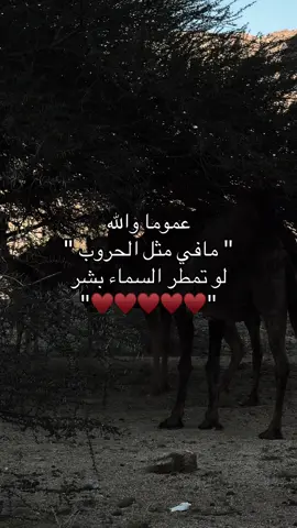 #حرب_اهل_الثلااث_المعجزات #اكسبلور #fyp #explore #foryou #تصويري📷 #تصميمي 