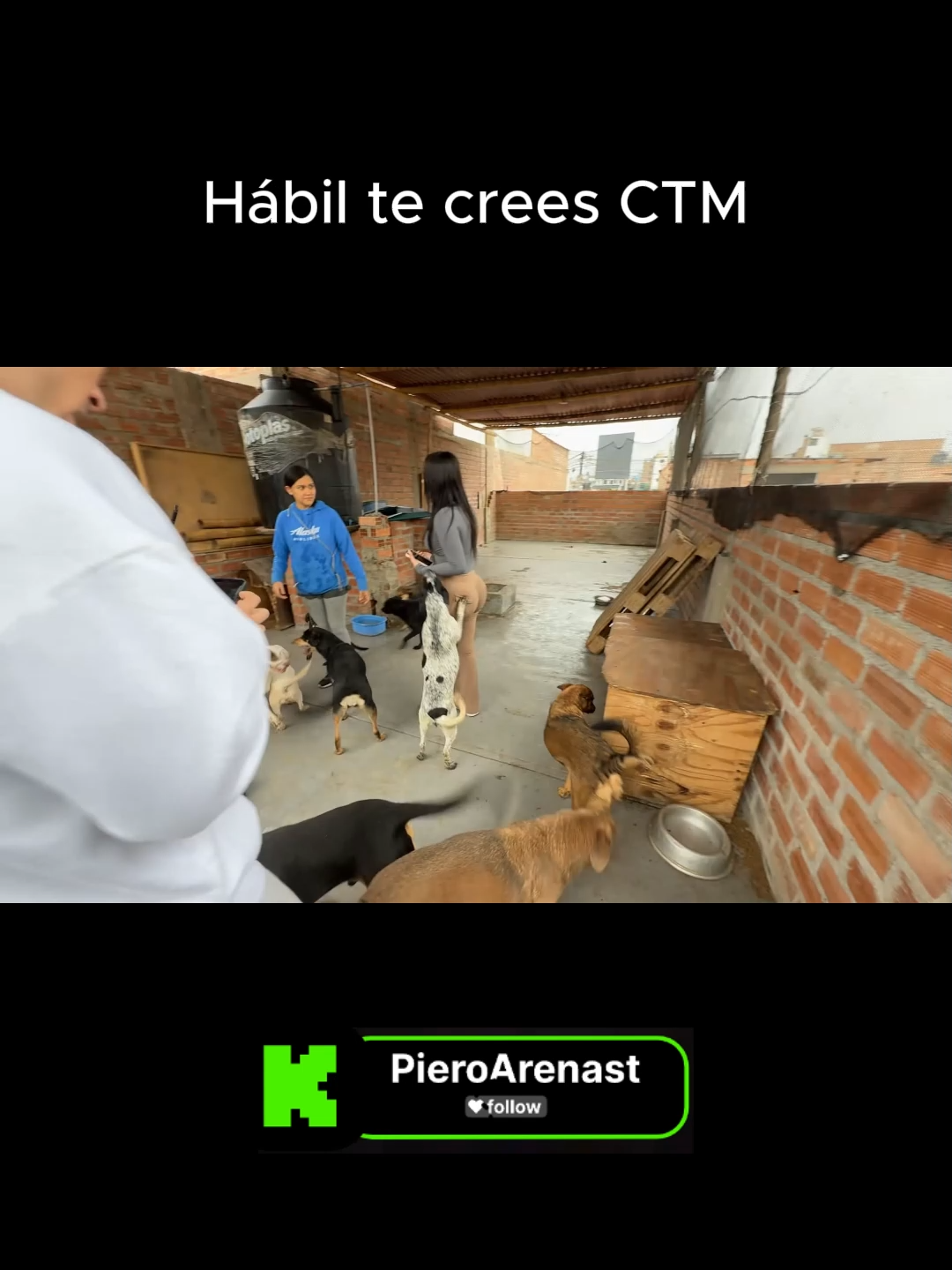 #eeg #pieroarenast #estoesguerra #kick #kickperuclips #clips #paratii #combate #sillao #fyp #stream #streamer #clip #kickclips #patricioparodi #piero #karenpaniagua #albergue #perros #habiltecrees
